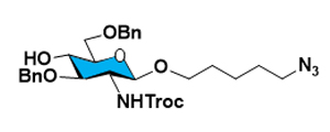 Custom Monosaccharide Synthesis