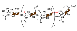 Custom Polysaccharides Synthesis